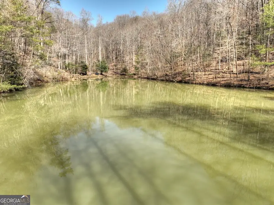 638 Cohutta Mountain Road #159, Cherry Log, GA 30522 - Image #3