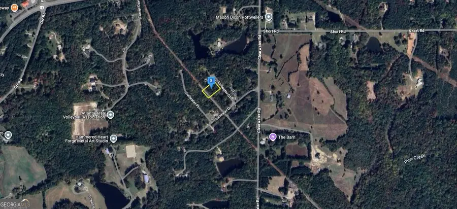 46 Lullwater Court, Sharpsburg, GA 30277 - Image #3