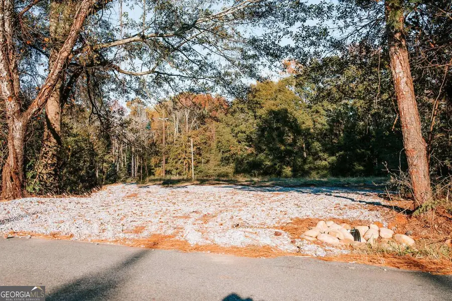 TRACT 7 Robert Hardeman, Winterville, GA 30683 - Image #2