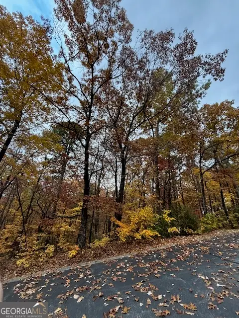 595 Whispering Dale Drive, Clarkesville, GA 30523 - Image #3