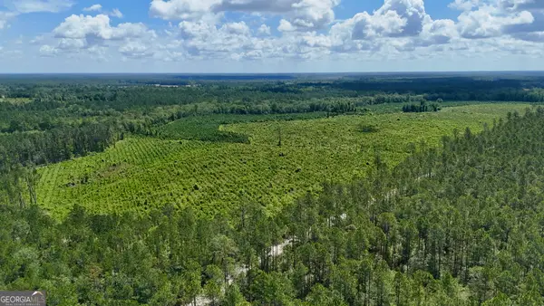 TRACT 2 Bennett Mill Pond Road, Odum, GA 31555