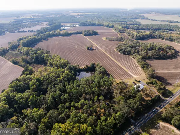 13876 Ga Highway 122, Pavo, GA 31778