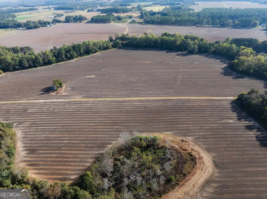 13876 Ga Highway 122, Pavo, GA 31778 - Image #2