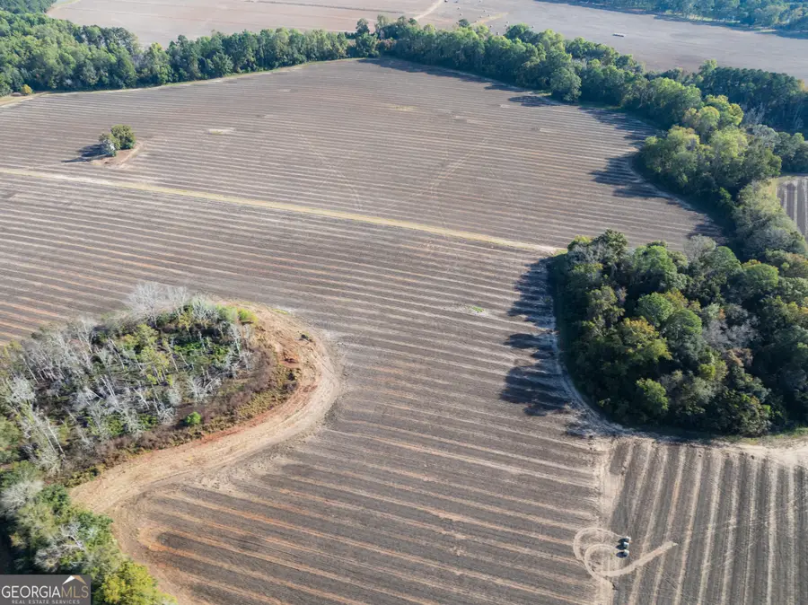 13876 Ga Highway 122, Pavo, GA 31778 - Image #3
