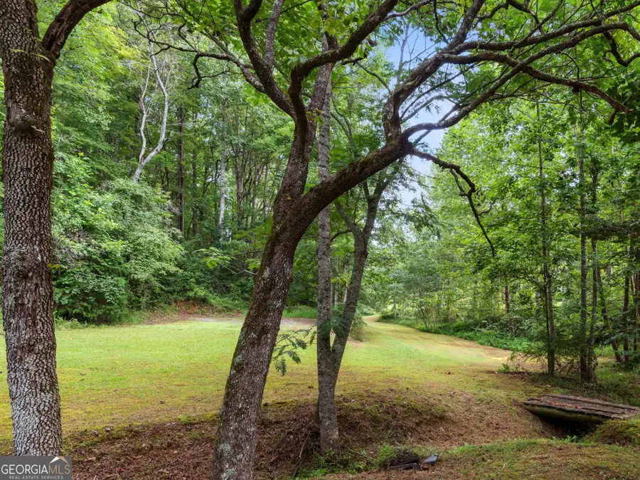 0 Duncan Bridge Road, Cleveland, GA 30528 - Image #3