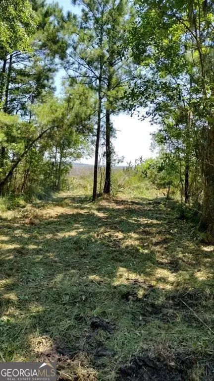 0 Briar Patch Lot 29 Place, Townsend, GA 31331 - Image #2