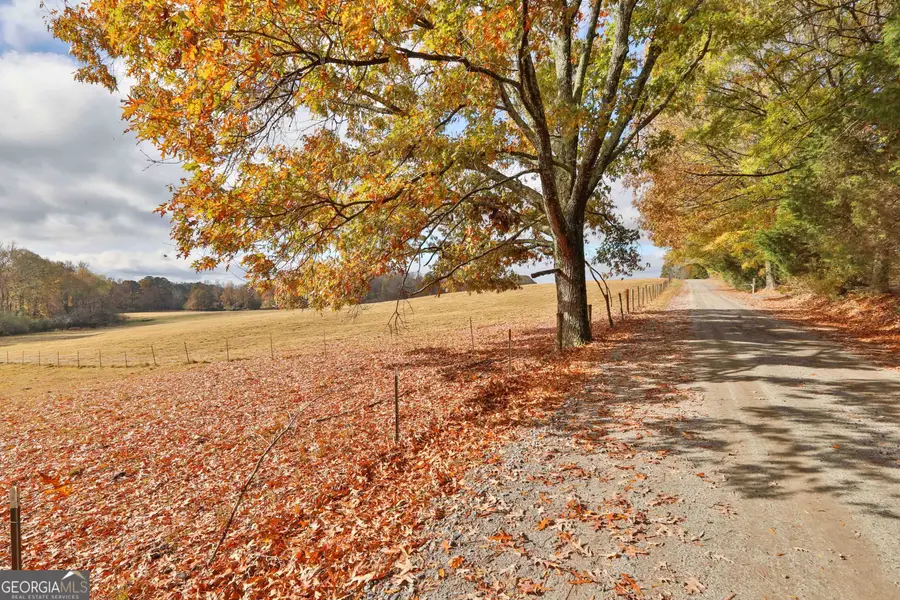 LOT 3 Mask Road - Hanner's Farm South, Brooks, GA 30205 - Image #3