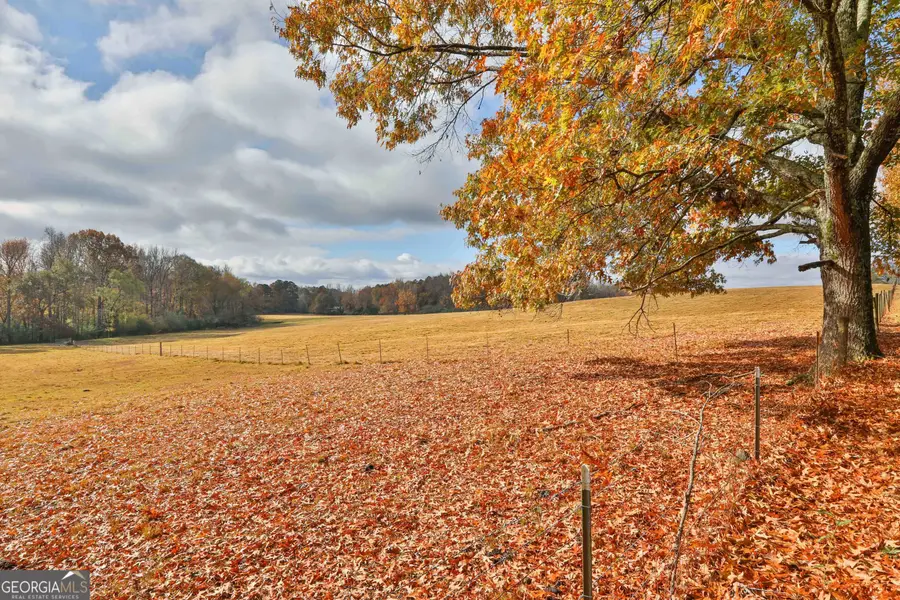 LOT 6 Mask Road - Hanner's Farm South, Brooks, GA 30205 - Image #3