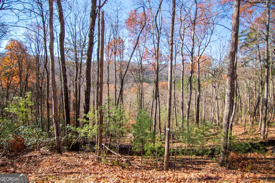 LOT 5 Clay's Way, Blue Ridge, GA 30513 - Image #3