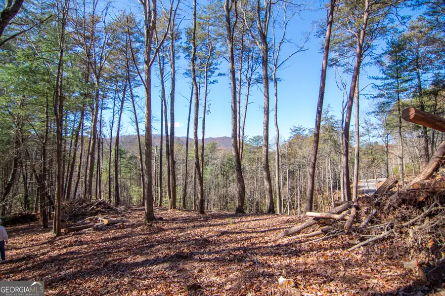 LOT 2A Clay's Way, Blue Ridge, GA 30513 - Image #3