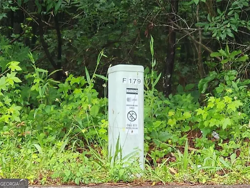 179 Ashley Trace Drive, Locust Grove, GA 30248 - Image #1