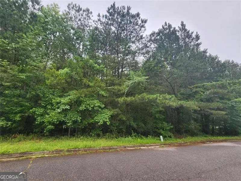 179 Ashley Trace Drive, Locust Grove, GA 30248 - Image #3