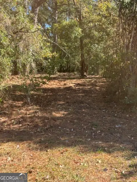 136 Herrin Road, Woodbine, GA 31569 - Image #3