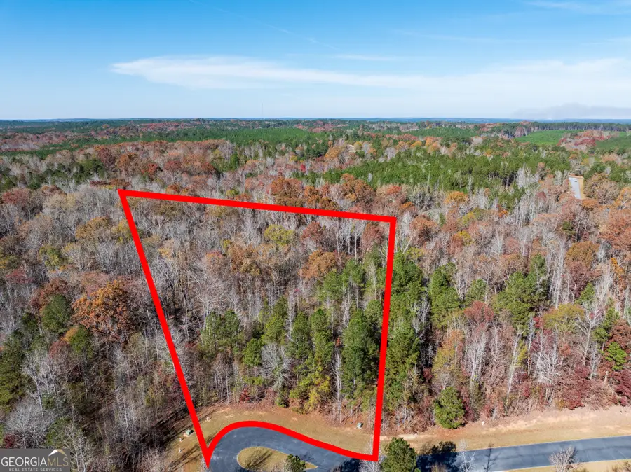 2.19 ACRES Ridgeville Court, Tignall, GA 30668 - Image #2
