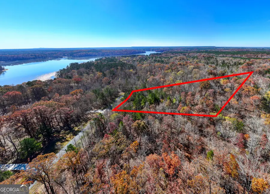 2.19 ACRES Ridgeville Court, Tignall, GA 30668 - Image #3