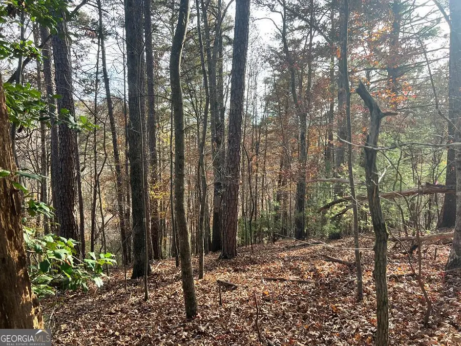 71 Dryad Court, Ellijay, GA 30540 - Image #2