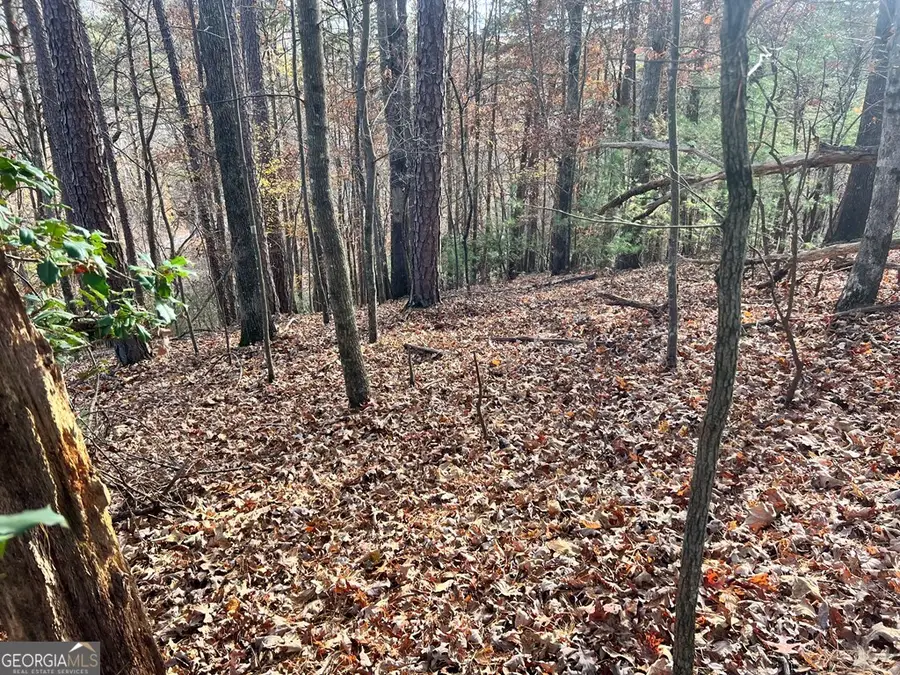 71 Dryad Court, Ellijay, GA 30540 - Image #3