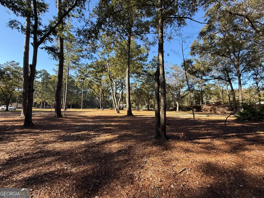 102 Winnai Lane, Guyton, GA 31312 - Image #3