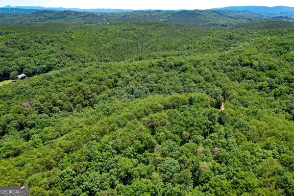111 +/- Acres Off Slate Mine Road, Fairmount, GA 30139
