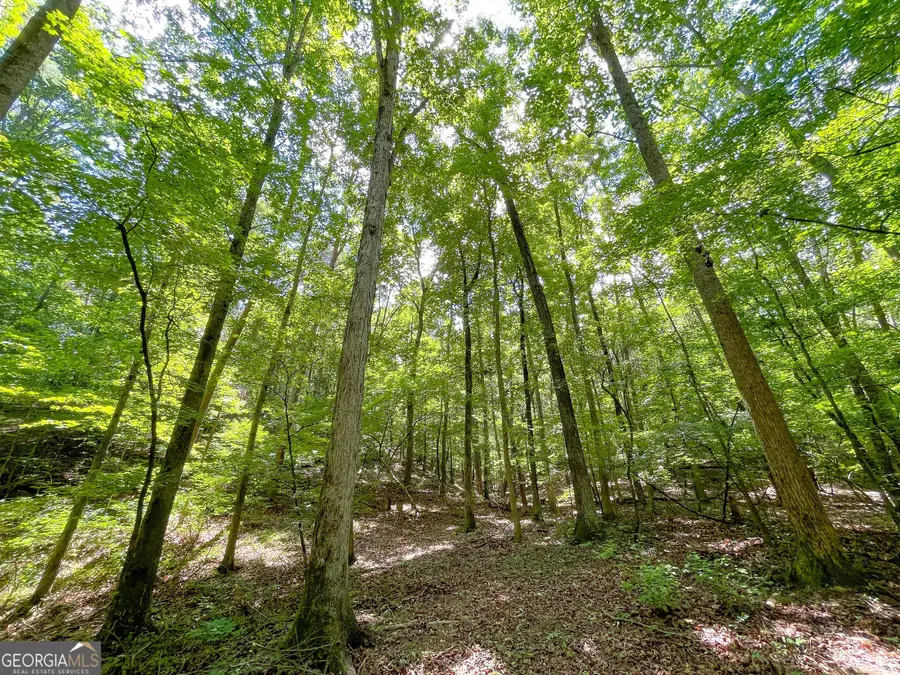 111 +/- Acres Off Slate Mine Road, Fairmount, GA 30139 - Image #3