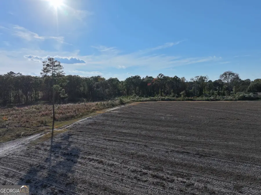 963 Vinson Road, Meigs, GA 31765 - Image #2