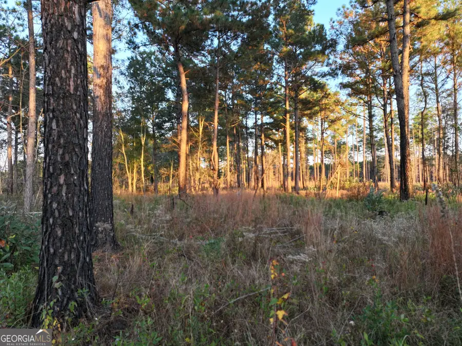 963 Vinson Road, Meigs, GA 31765 - Image #3