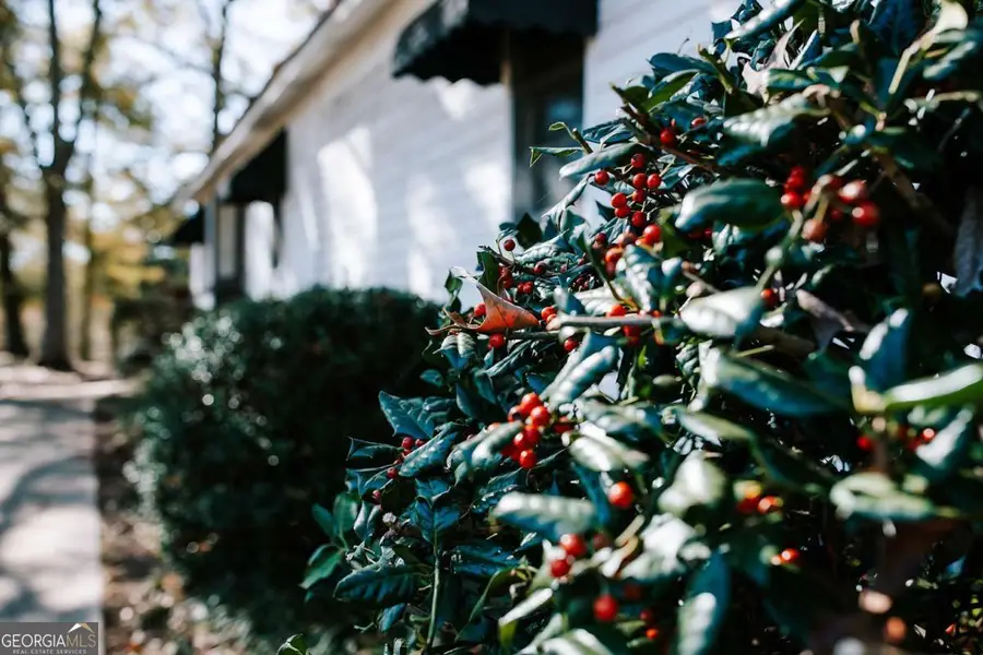 467 Elberton Road, Lexington, GA 30648 - Image #3