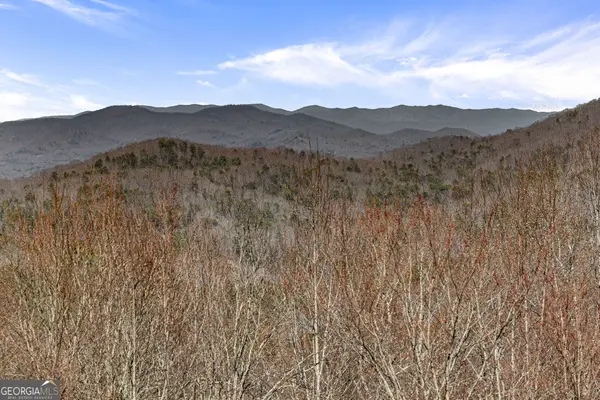 TRACT 3 Old Mill, Mineral Bluff, GA 30559