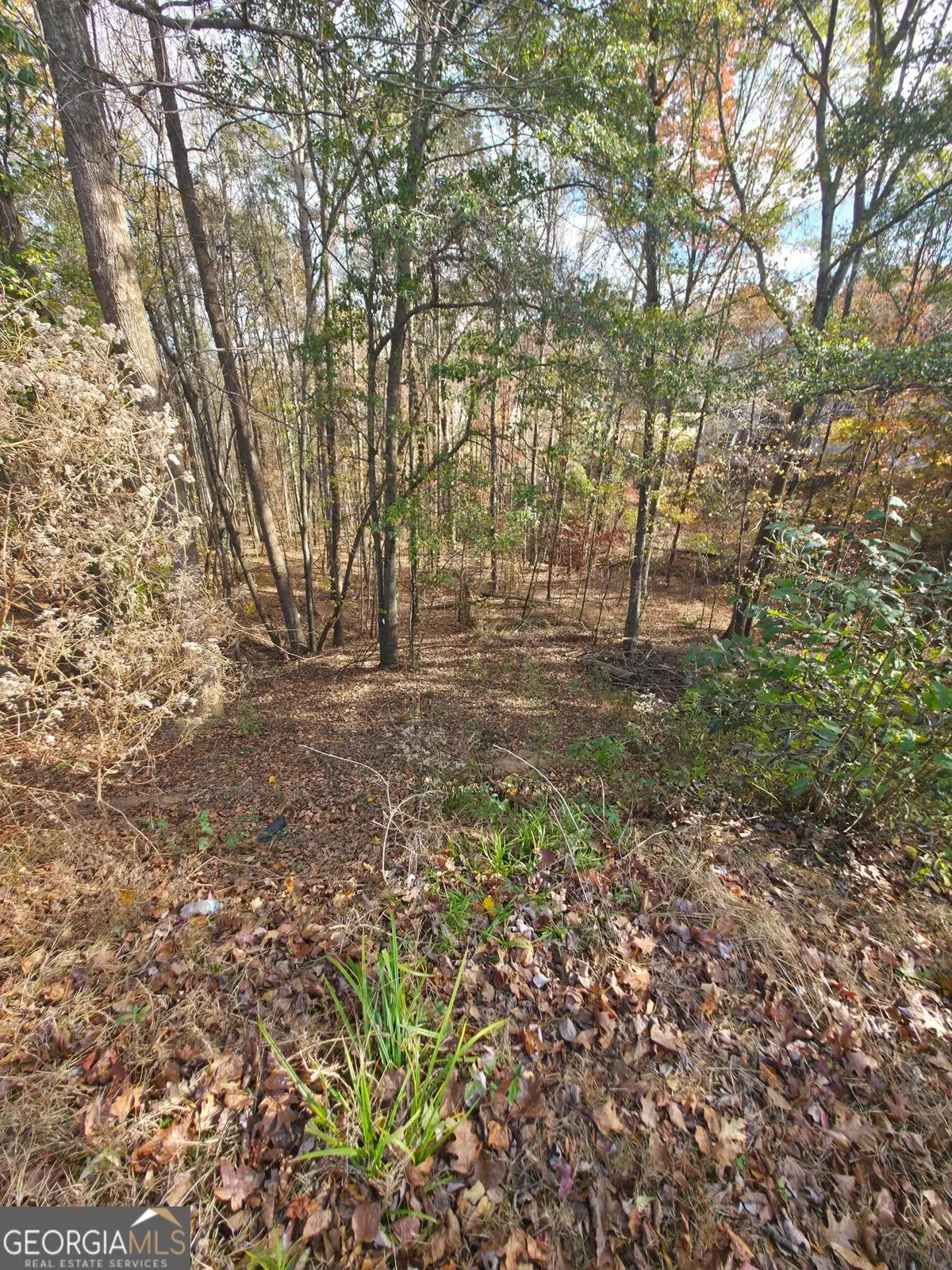 2412 Snowshoe Bend, Bethlehem, GA 30620 - Image #1