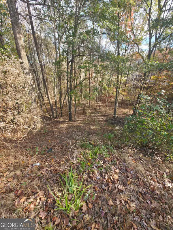 2412 Snowshoe Bend, Bethlehem, GA 30620