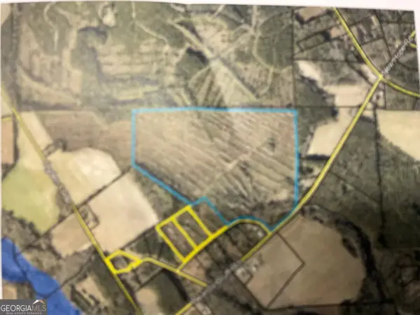 0 Beards Bluff Road, Odum, GA 31555