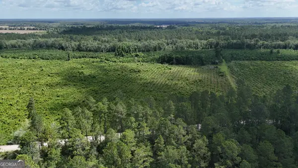 TRACT 3 Bennett Mill Pond Road, Odum, GA 31555