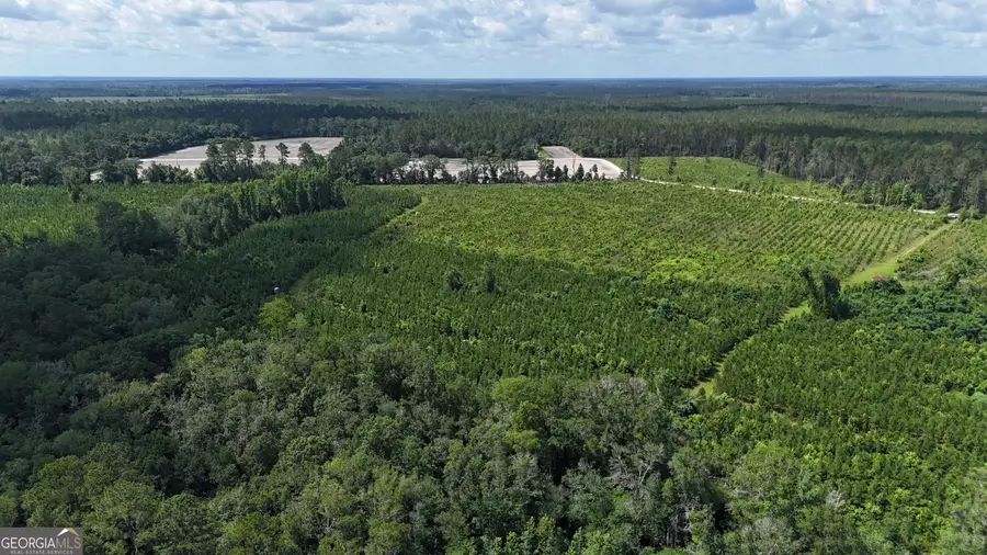 TRACT 3 Bennett Mill Pond Road, Odum, GA 31555 - Image #2