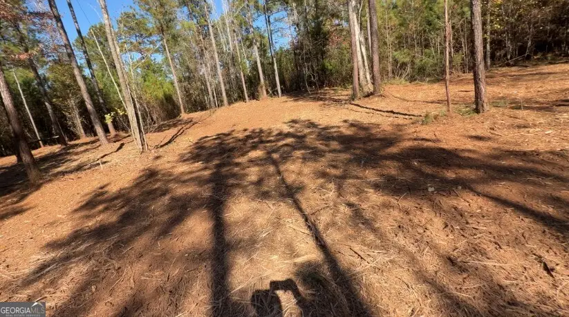 TRACT B Russellville Road, Forsyth, GA 31029 - Image #1