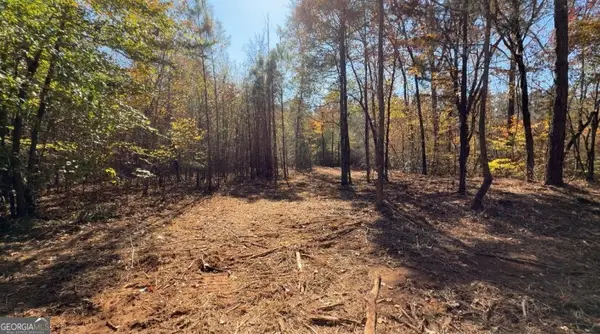 TRACT A Russellville Road, Forsyth, GA 31029