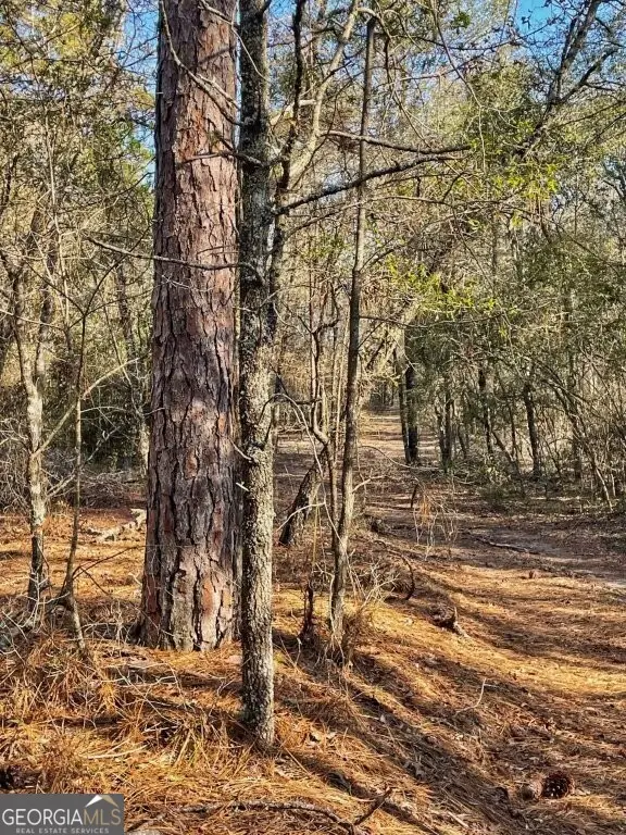 0 Highway 56 S, Swainsboro, GA 30401