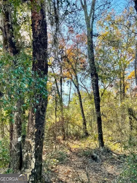 0 Highway 56 S, Swainsboro, GA 30401 - Image #2