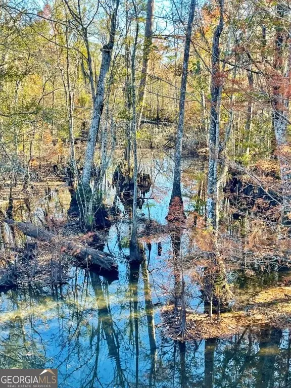 0 Highway 56 S, Swainsboro, GA 30401 - Image #3