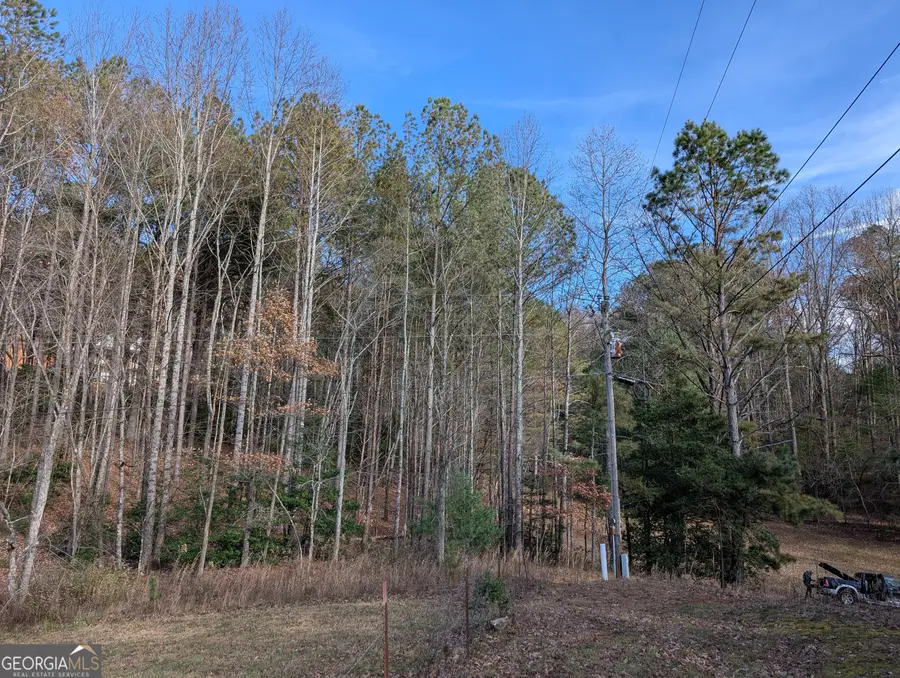 LT 2 Mr Bert Road #2, Hiawassee, GA 30546 - Image #2