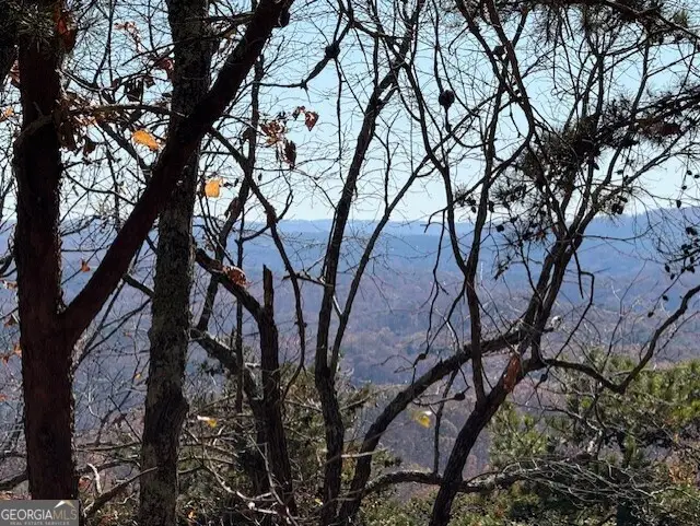 0 John Call Road, Talking Rock, GA 30175 - Image #2