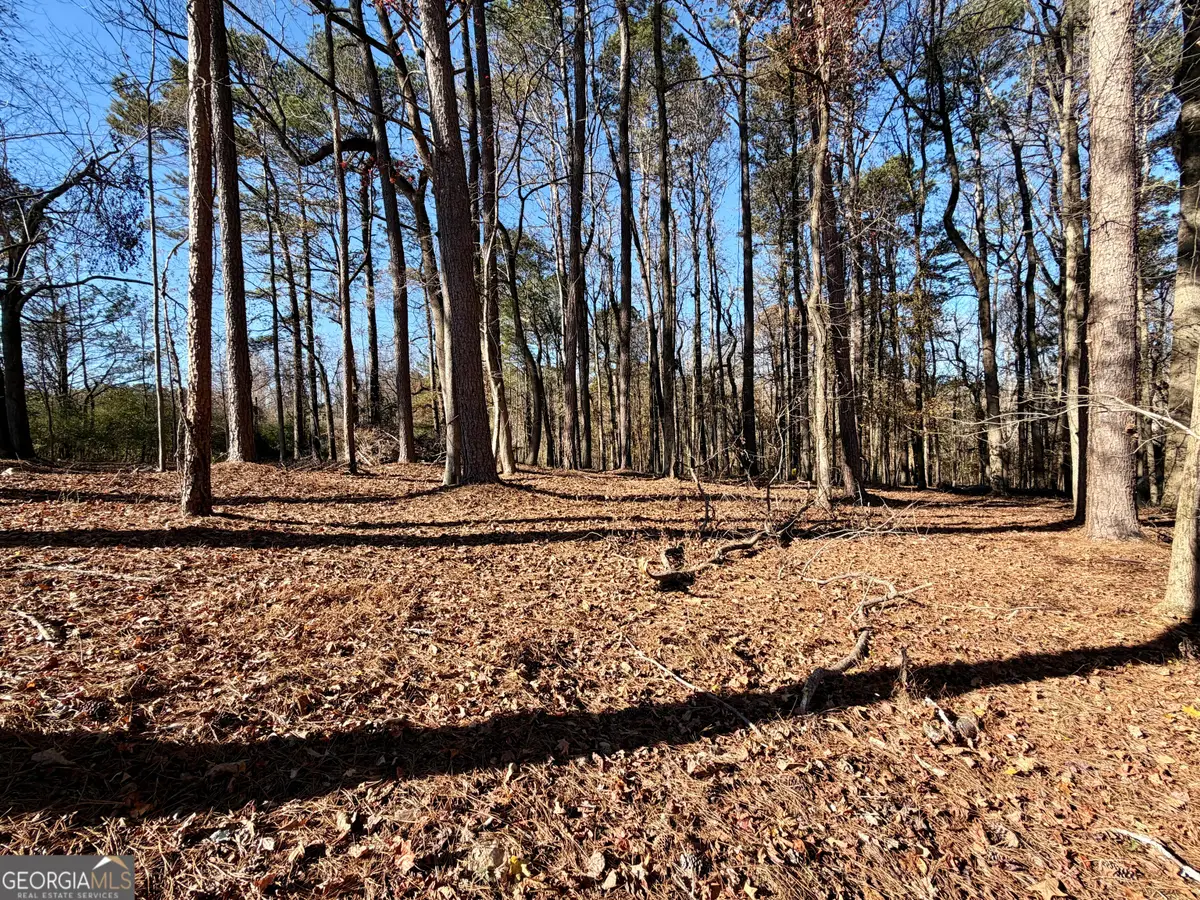 8121 Heardsville Circle, Cumming, GA 30028 - Image #1