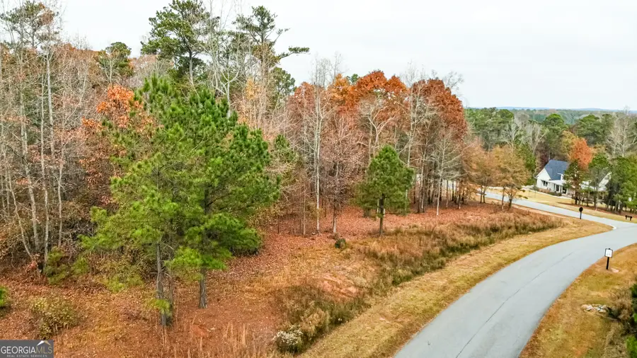 0 Alston Point #LOT 410/411, Newnan, GA 30263 - Image #2
