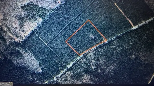 LOT 8-9 Rocky Springs Road, Eastman, GA 31023 - Image #1