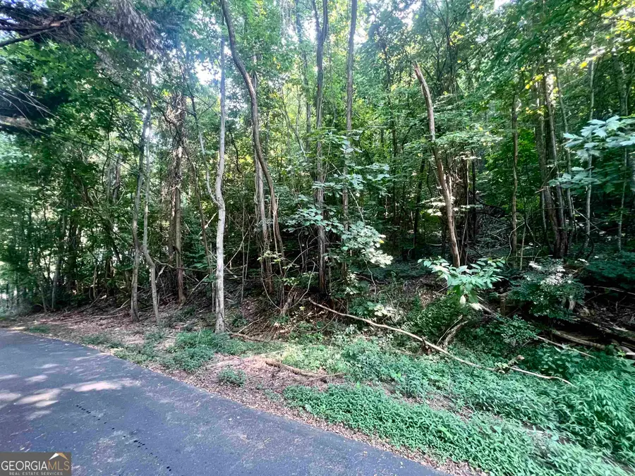 LOT 13 Chalet Drive, Sautee Nacoochee, GA 30571 - Image #2