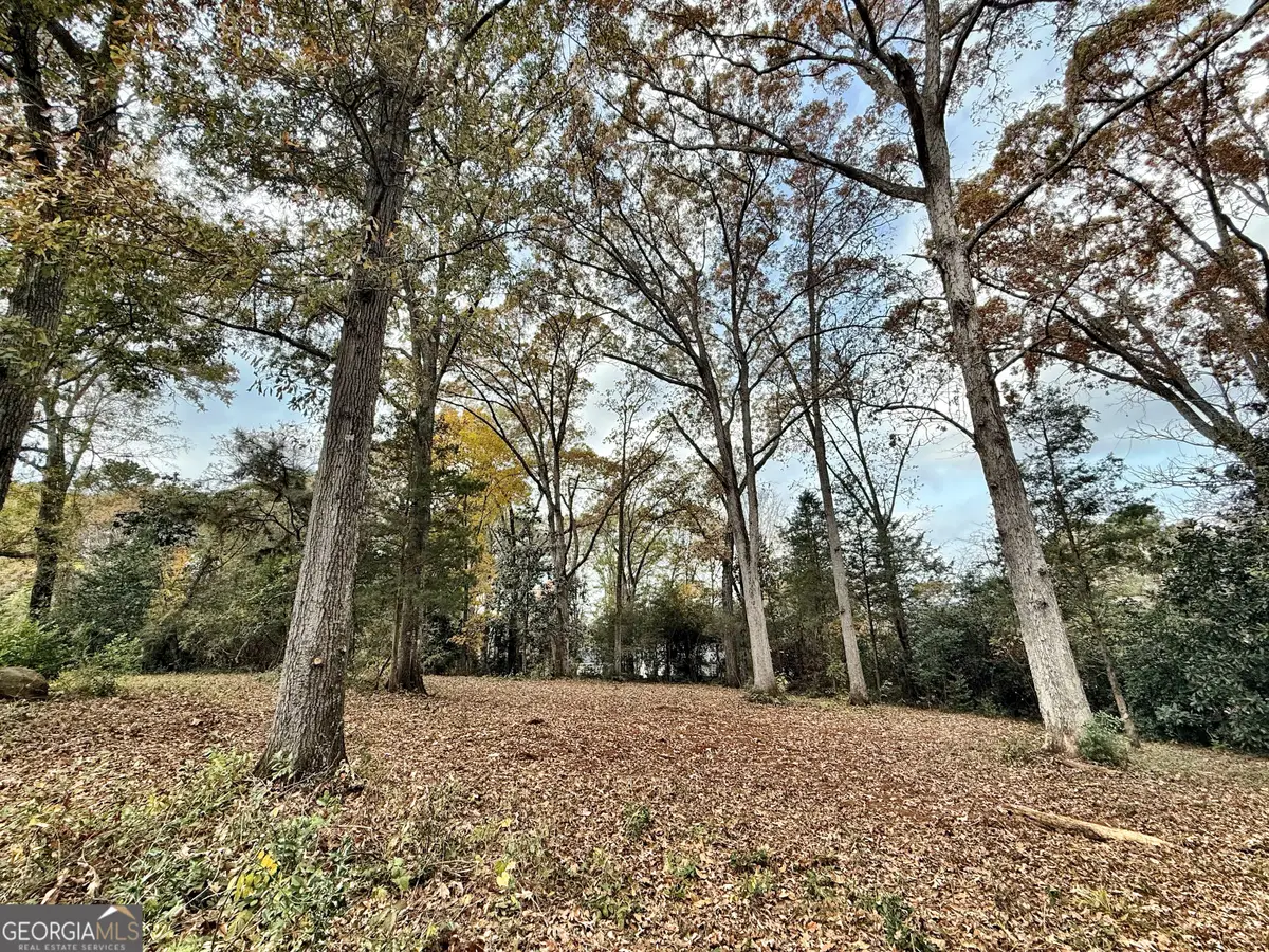 0 S Lee St, Forsyth, GA 31029 - Image #1