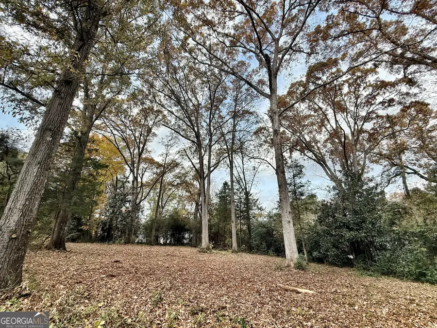 0 S Lee St, Forsyth, GA 31029 - Image #3