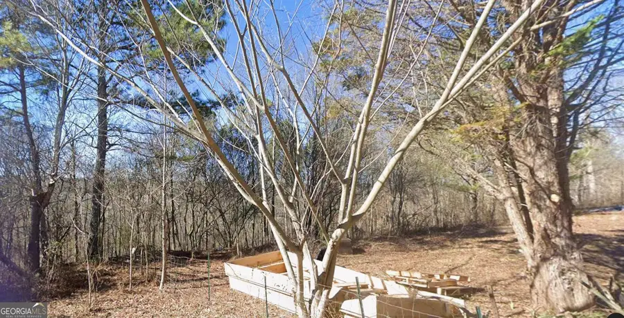 0 Buttercup Lane, Ringgold, GA 30736 - Image #3