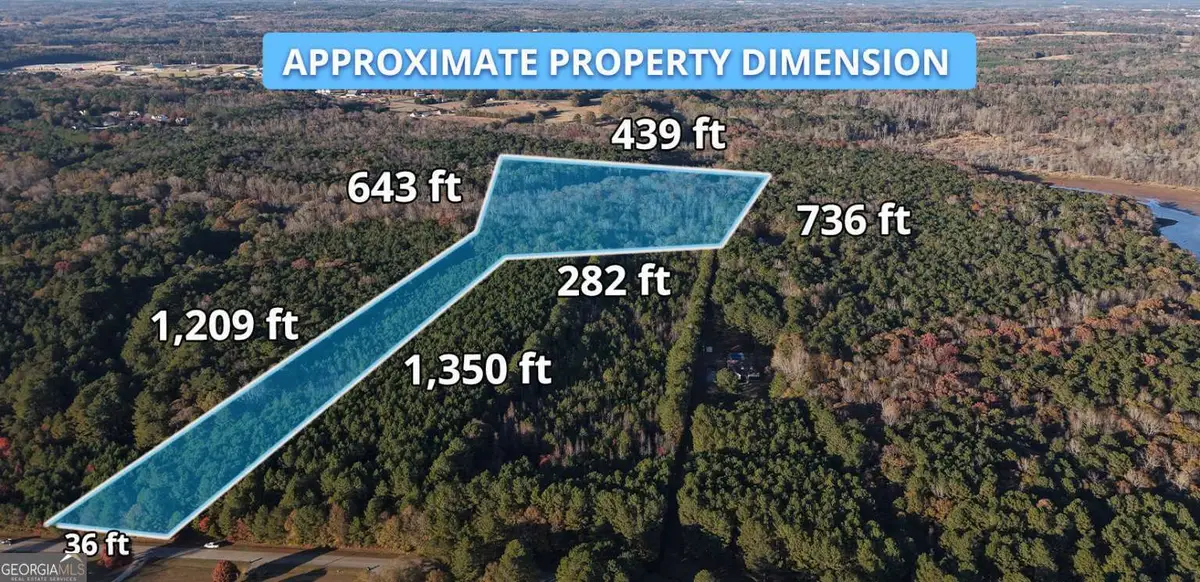 LOT #1 S Hampton Annex, Hampton, GA 30228 - Image #1