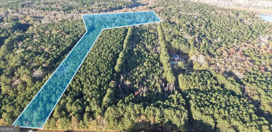 LOT #1 S Hampton Annex, Hampton, GA 30228 - Image #2