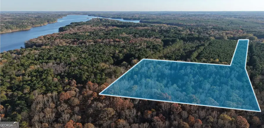 LOT #1 S Hampton Annex, Hampton, GA 30228 - Image #3